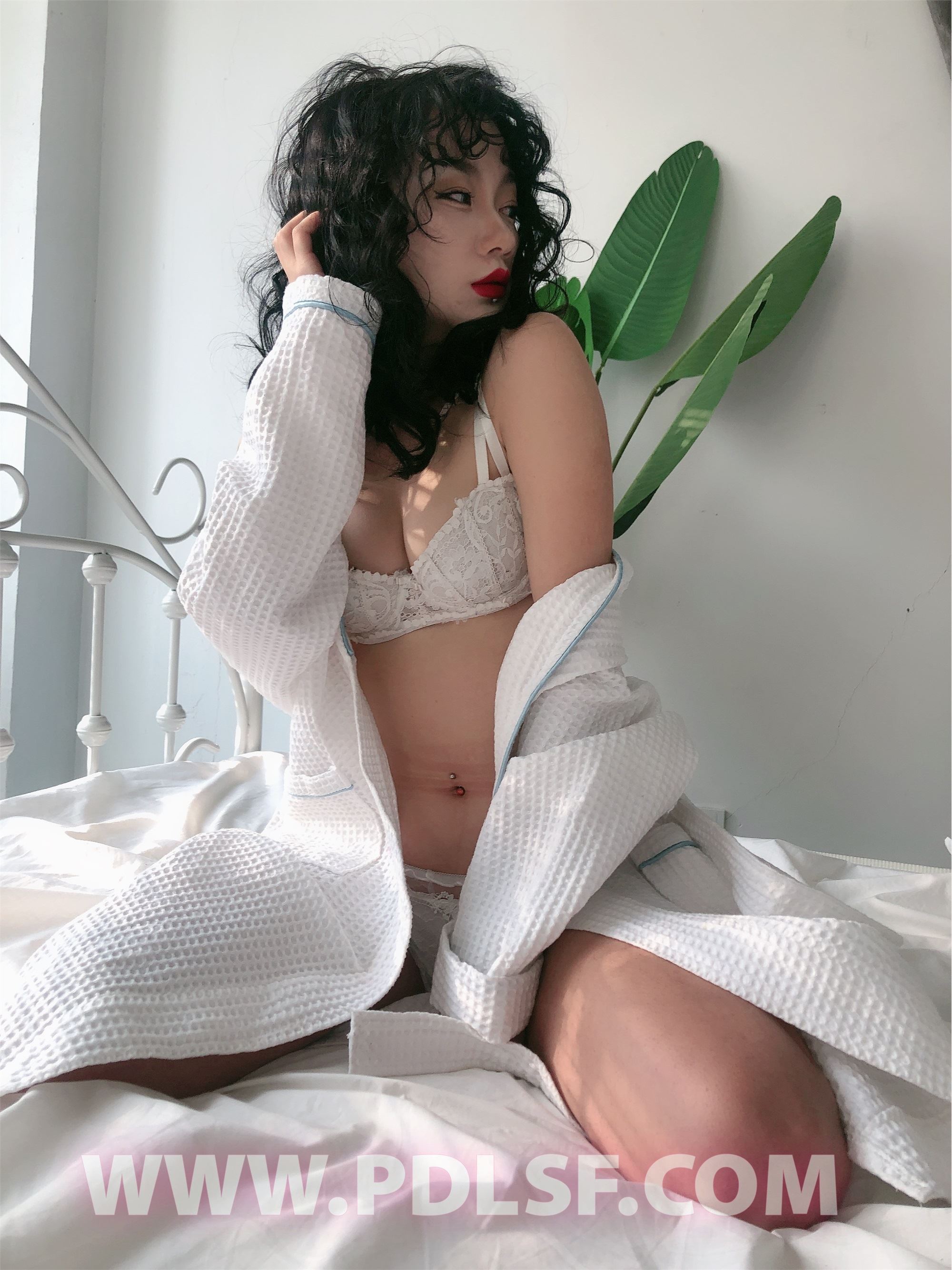 PDL潘多拉 2020.02.03 专辑No.277